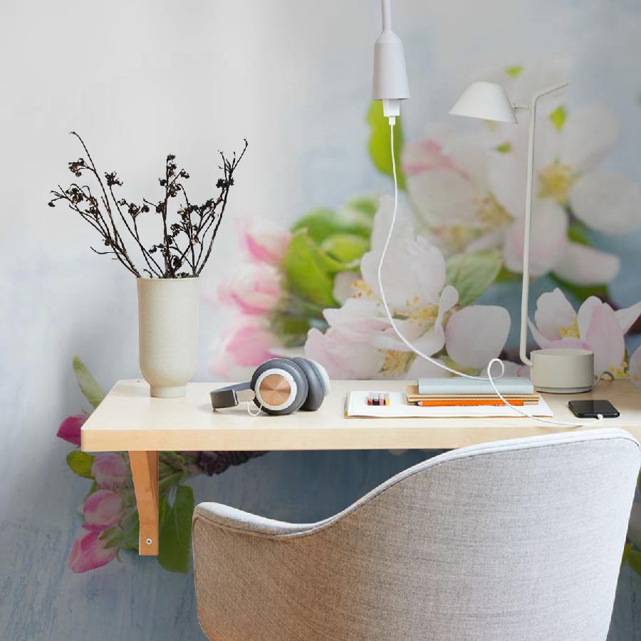 фотообои ветка цветущей яблони 10-088