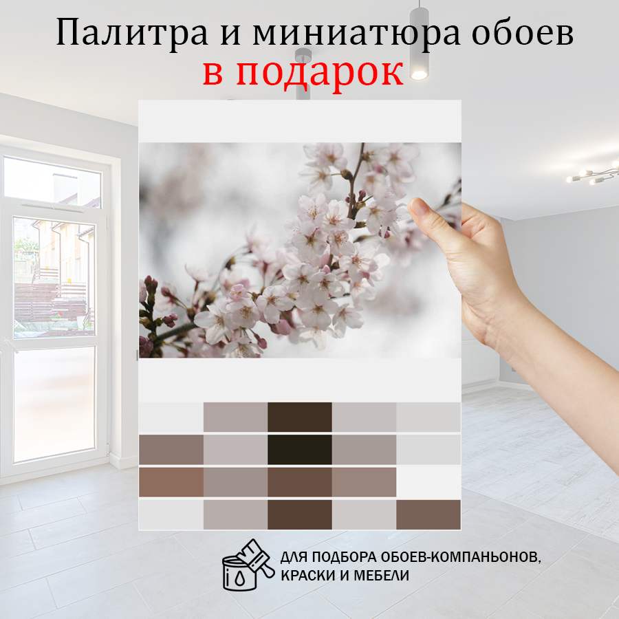 фотообои белоснежные лепестки сакуры 10-041 фотообои белоснежные лепестки сакуры 10-041