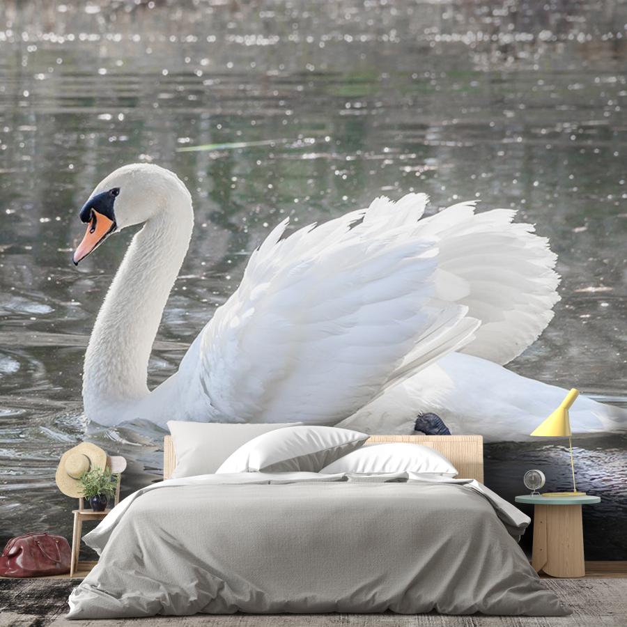 фотообои лебедь на воде 9-1733