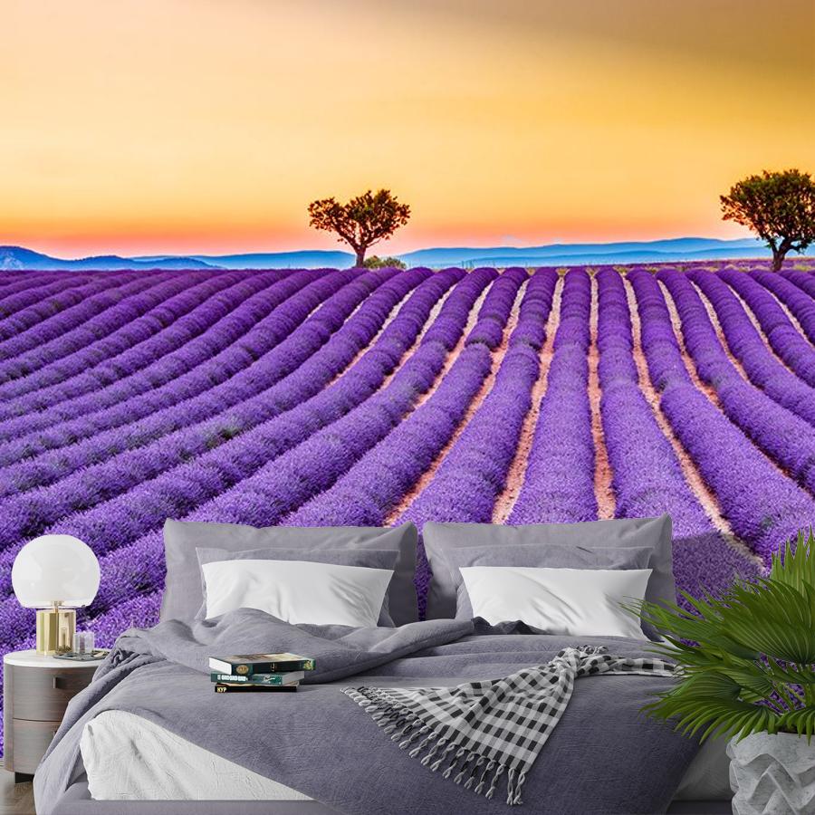 фотообои закат в лавандовых полях 9-1734