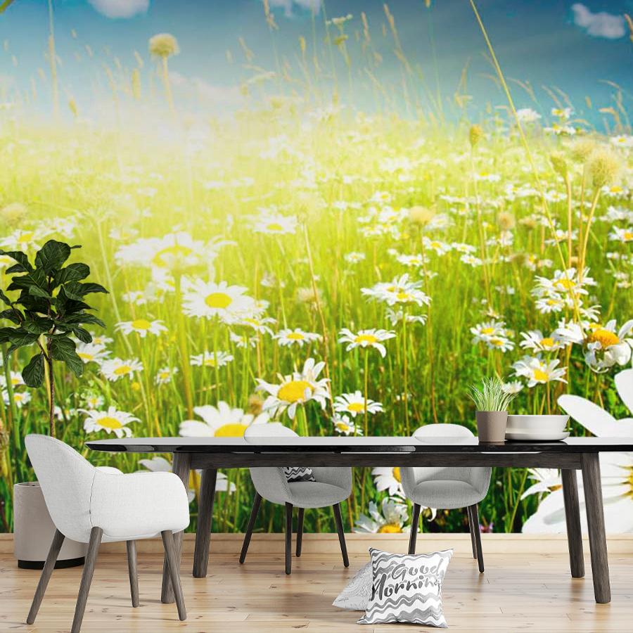 фотообои поле ромашек и лучи солнца 9-387