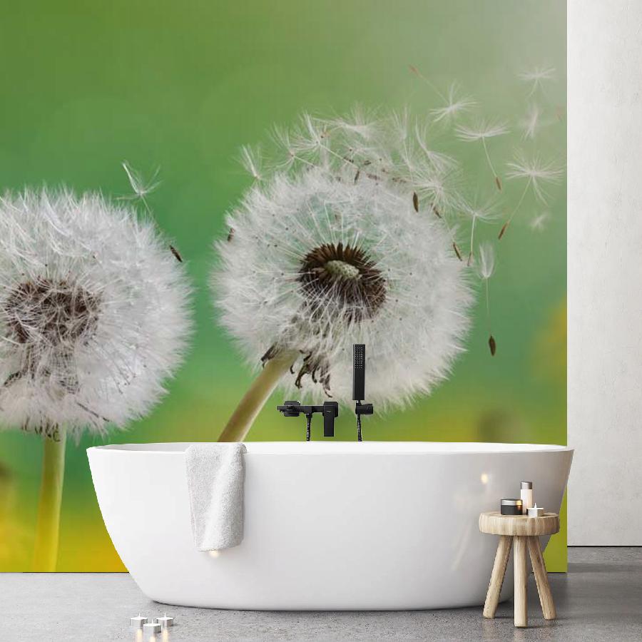 фотообои белые одуванчики 10-067