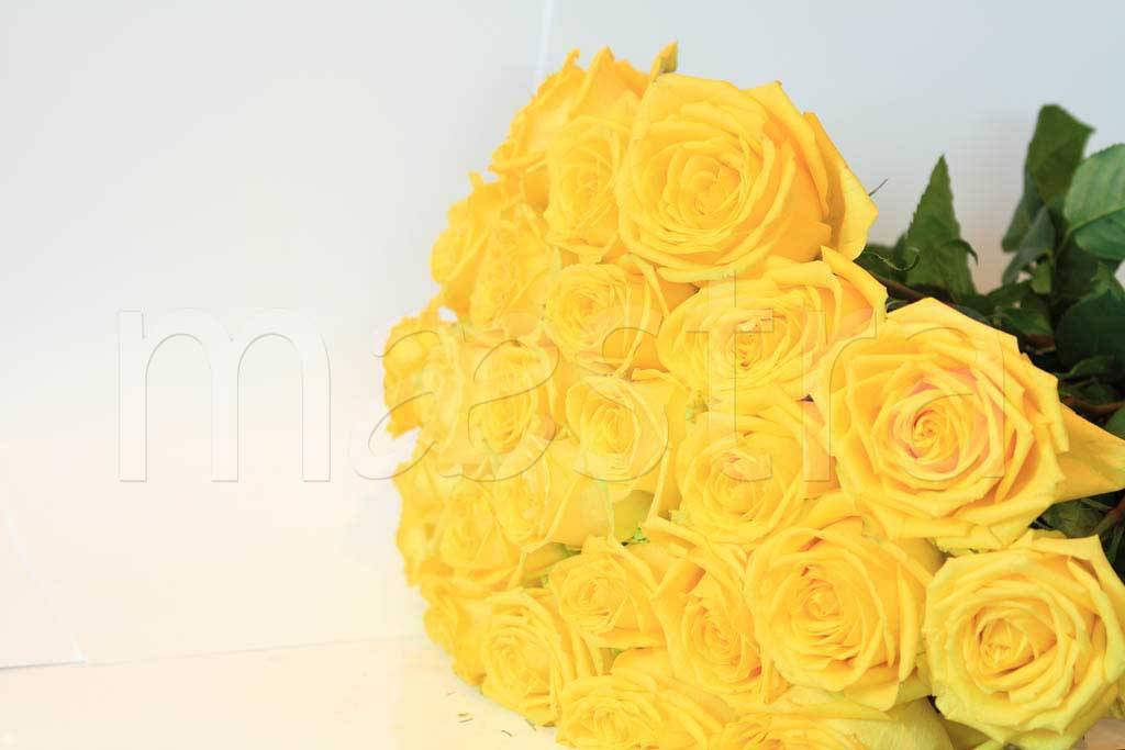 Фотообои Букет желтых роз красивый