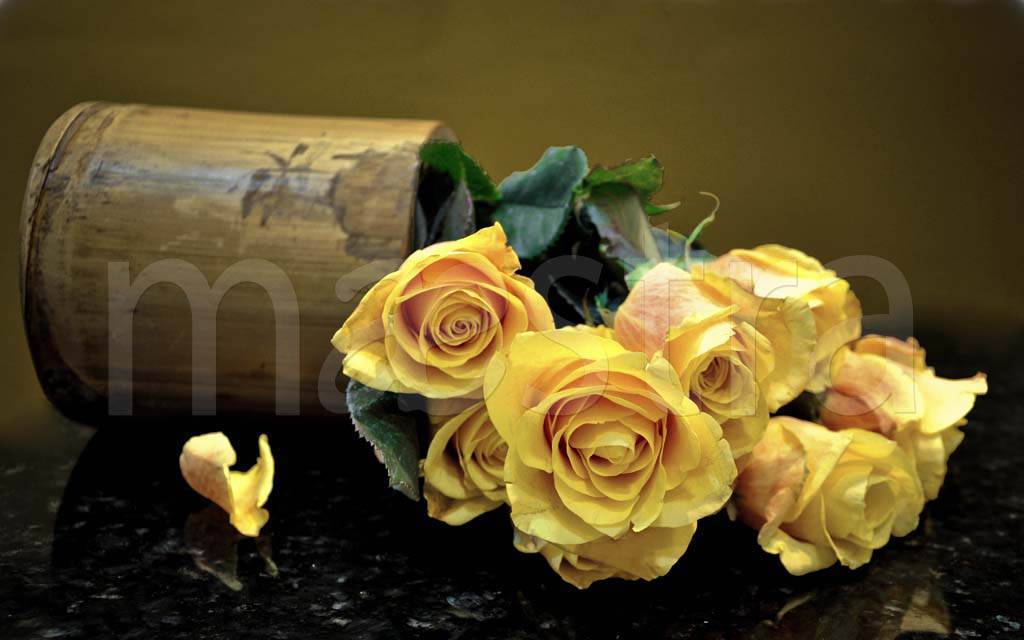 Фотообои Желтые розы на столе