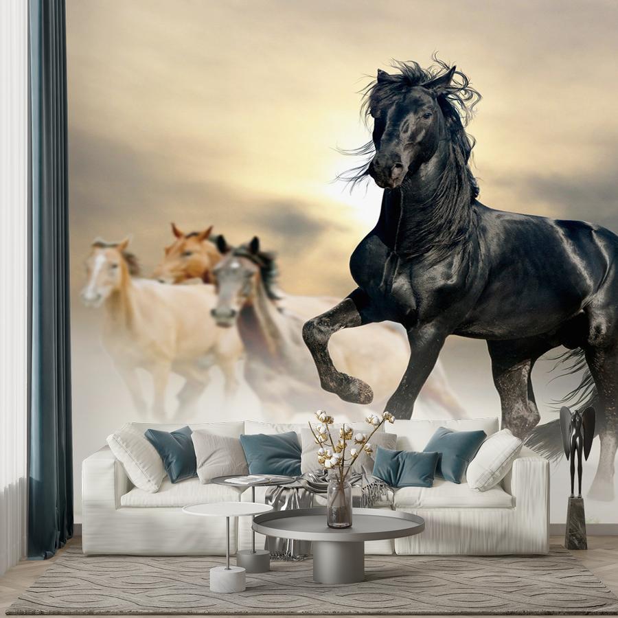 фотообои конь черный 9-1771
