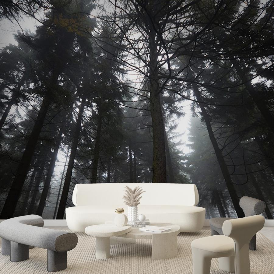 фотообои лес темный 9-1967