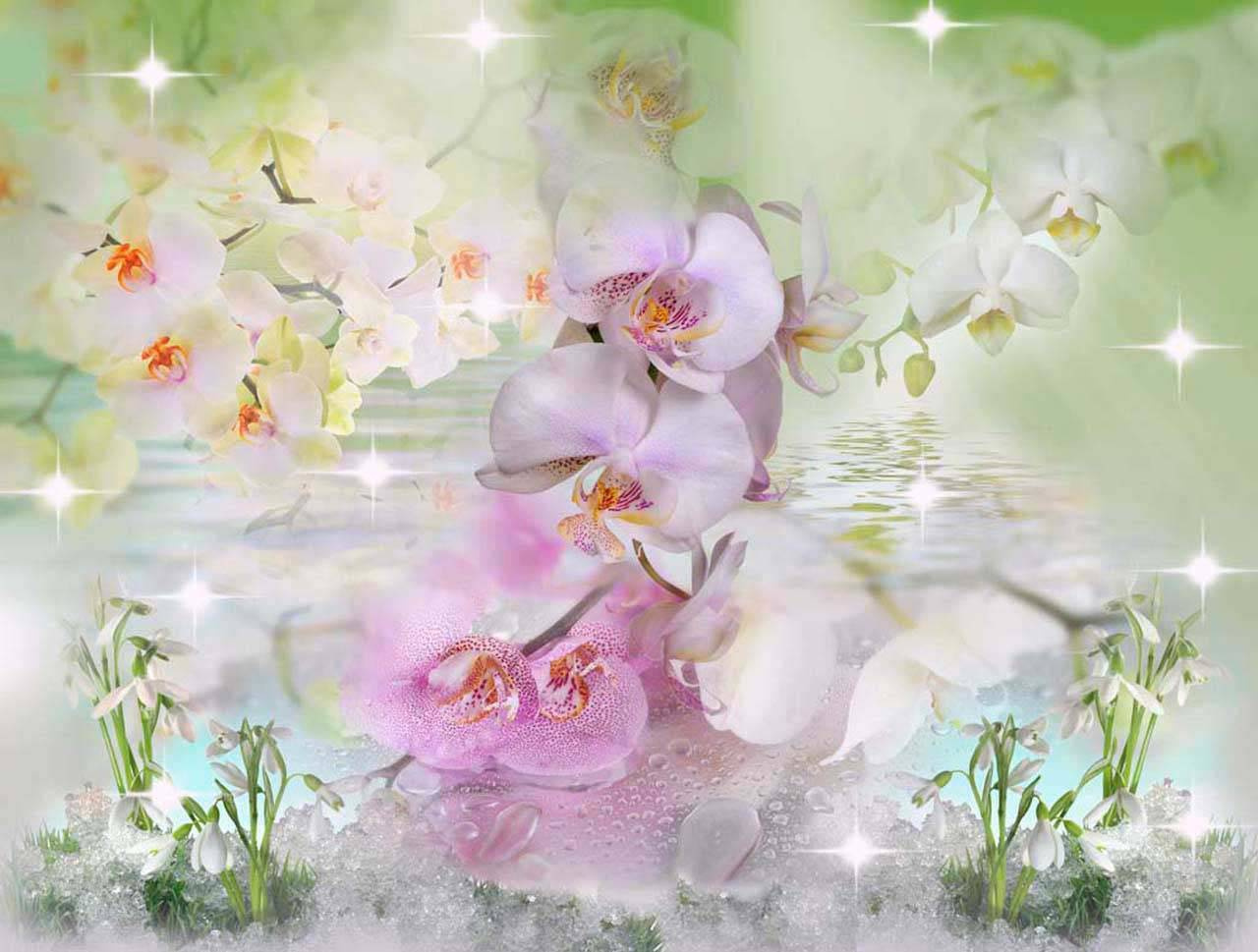 Фотообои 3d розовая орхидея на сером фоне