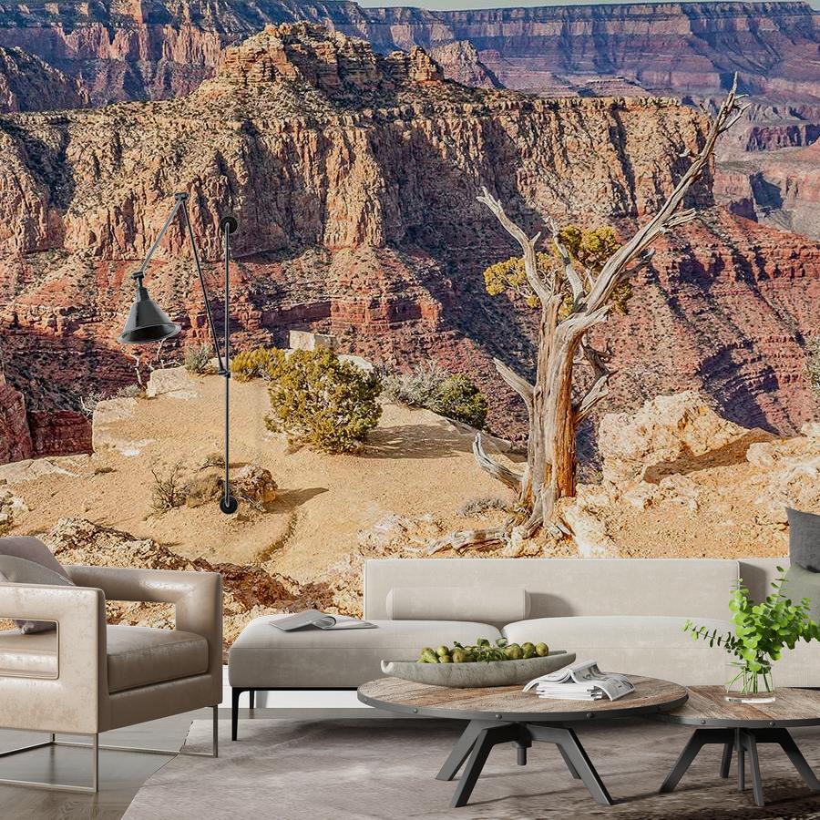 фотообои гранд каньон парк 9-1750