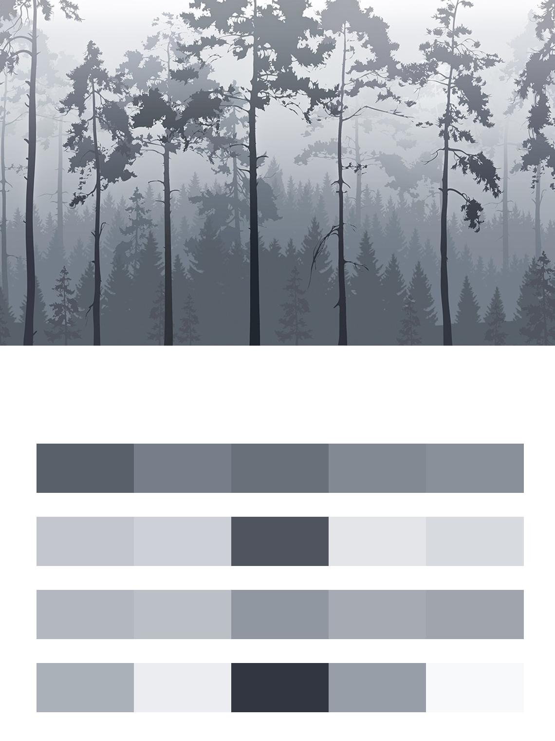 Бледно-серый туманный лес цвета