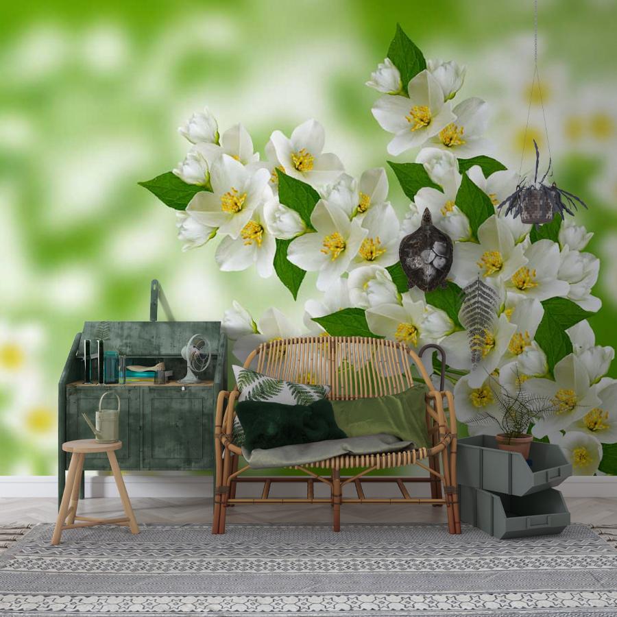 фотообои веточка жасмина 10-112