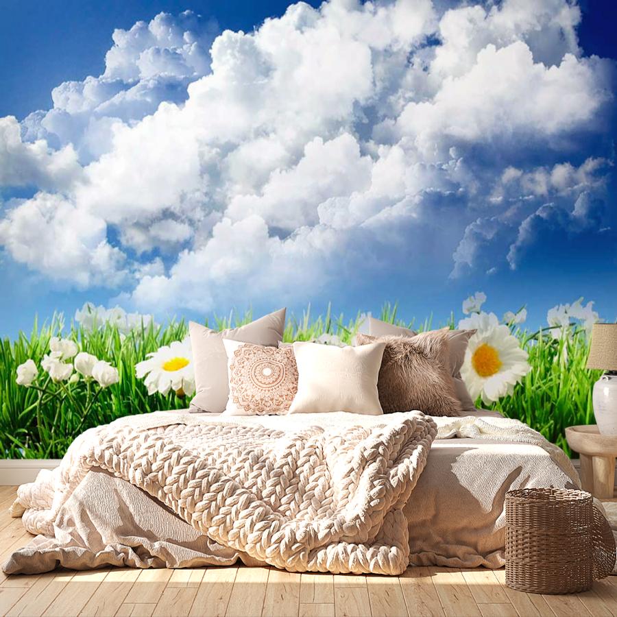фотообои большие ромашки 3 д в поле и белые облака 9-388