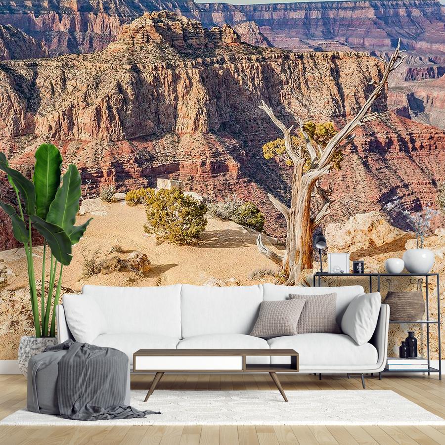 фотообои гранд каньон парк 9-1750