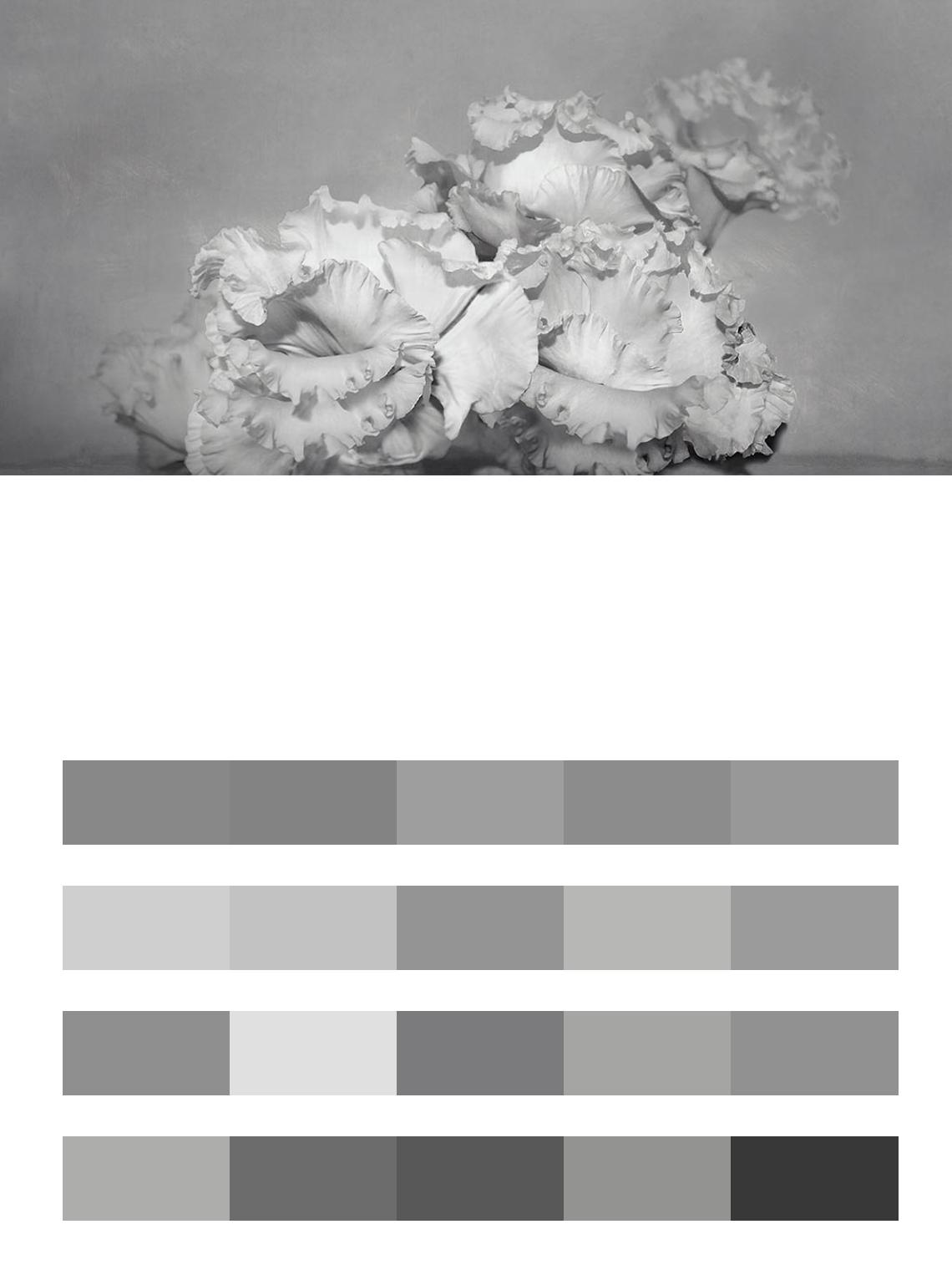 Белые цветы 3д цвета