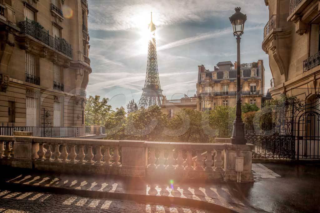 Фотообои Вид Парижа солнечным днём