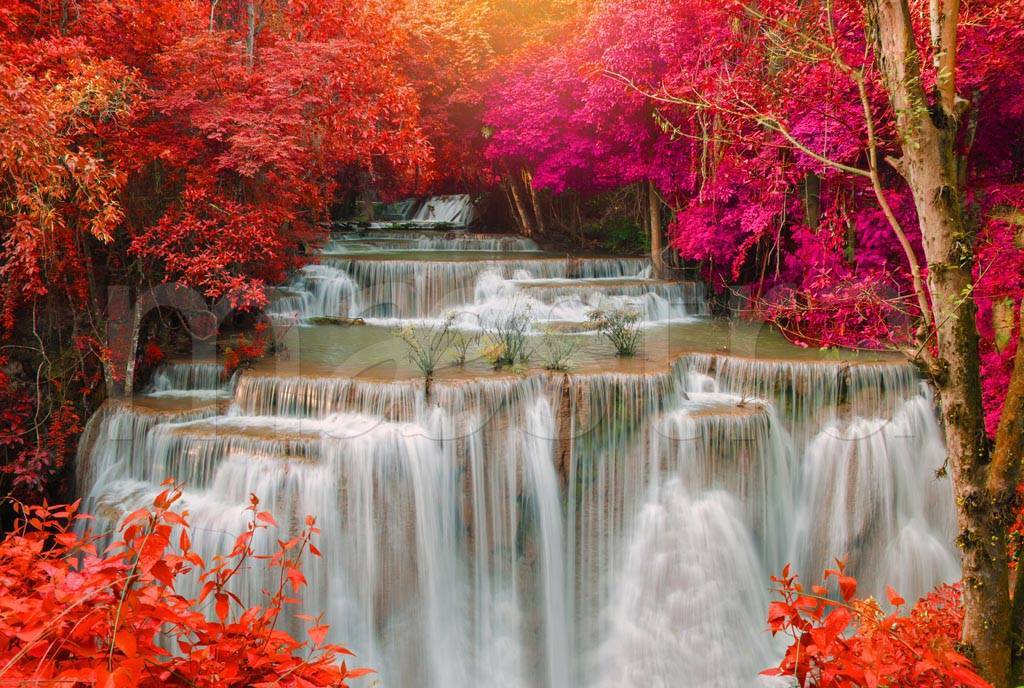 Фотообои Водопад в красных цветах