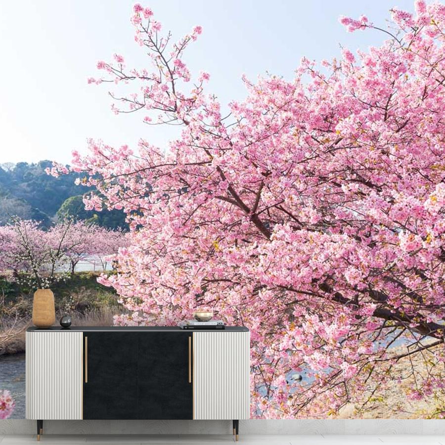 фотообои сакура на берегу реки 10-038