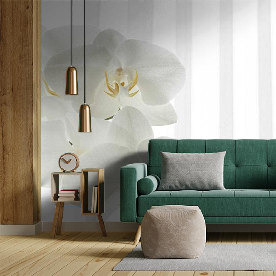 фотообои белая орхидея видная 10-158