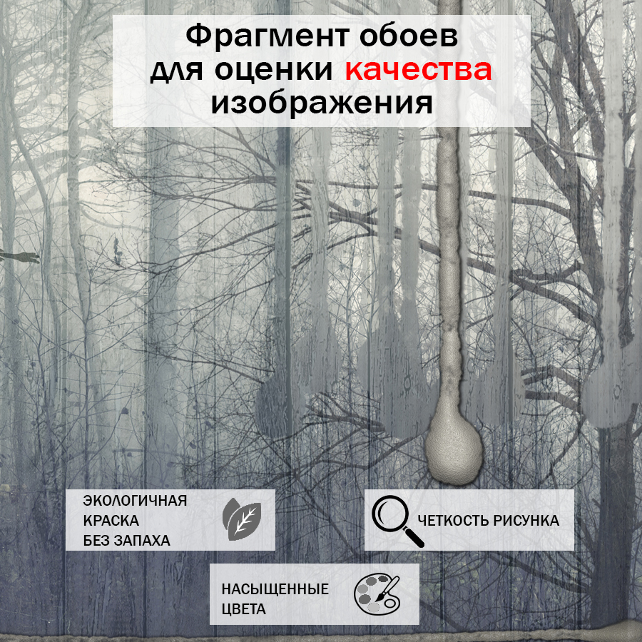 фотообои лес в дожде 13-045