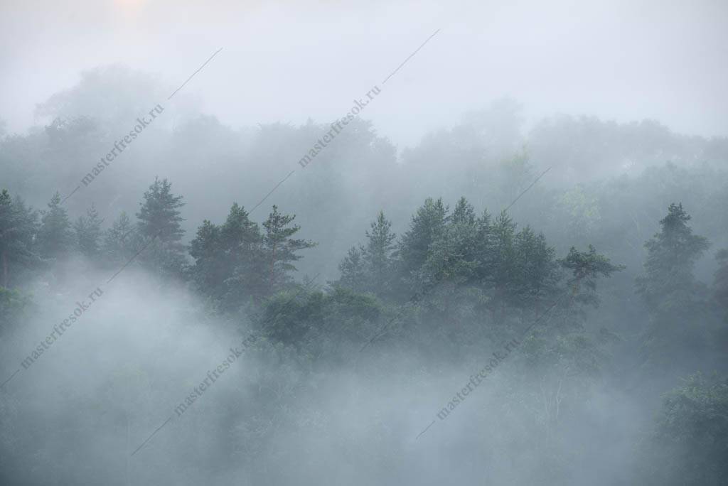 Фотообои Туманное утро