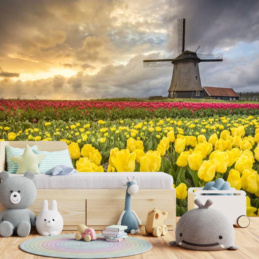 фотообои закат на тюльпановом поле 10-138 фотообои закат на тюльпановом поле 10-138