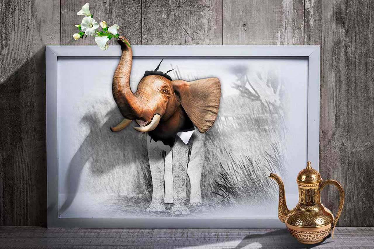 Фотообои 3д слон на стене