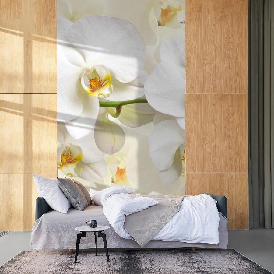 фотообои белая орхидея пленительная 10-162