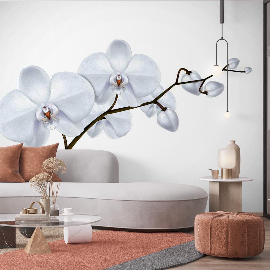 фотообои белая орхидея художественная 10-156