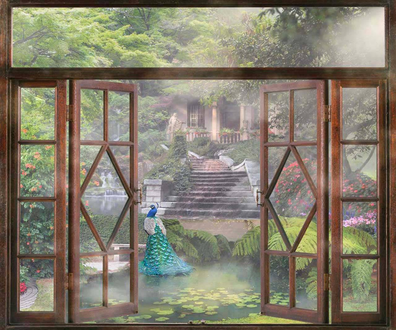 Фотообои Окно с видом на парк и пруд с павлином