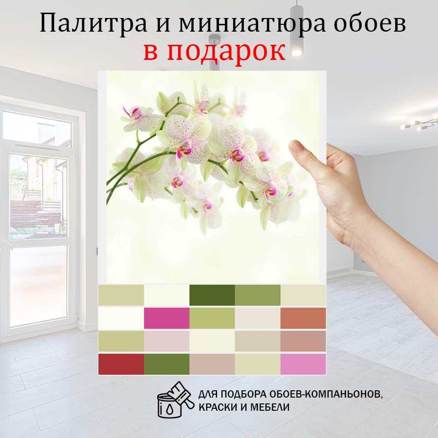 фотообои белая орхидея с розовым пигментом 10-164