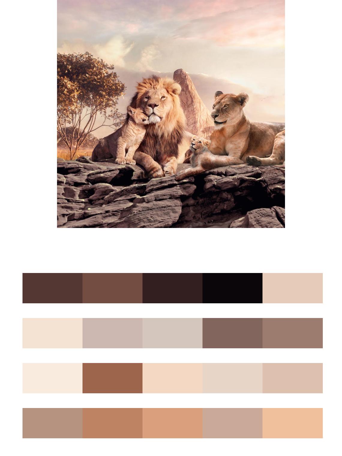Семейство львов цвета