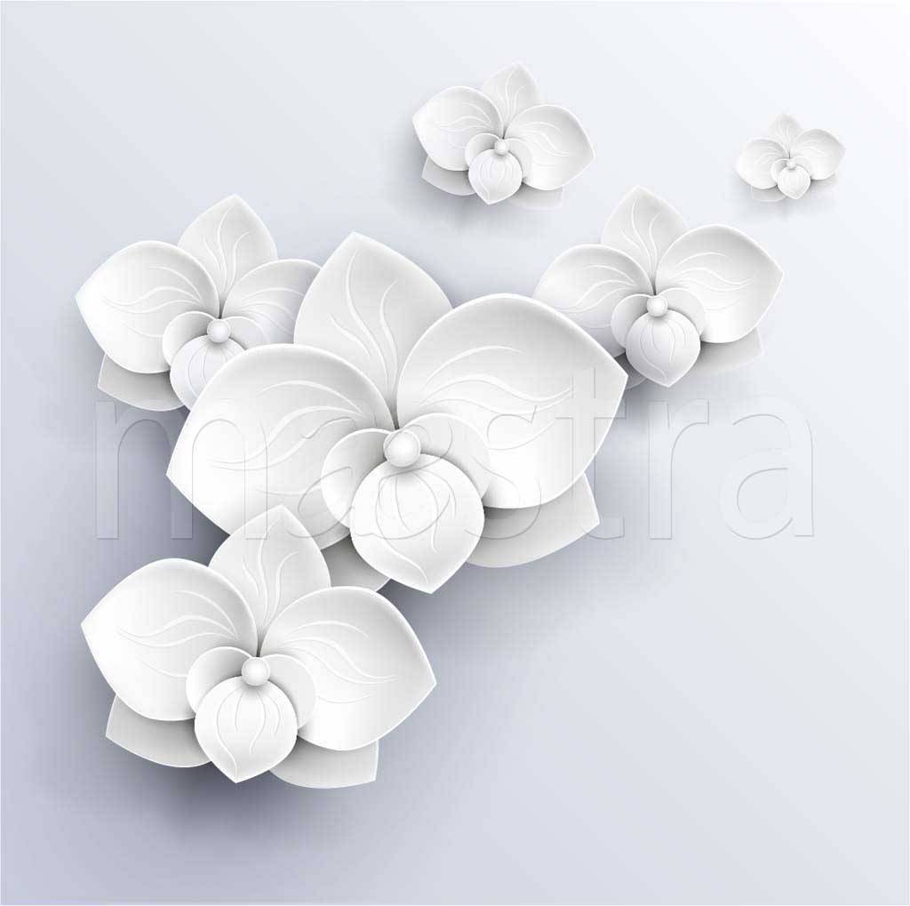 Фотообои Объёмные белые цветы