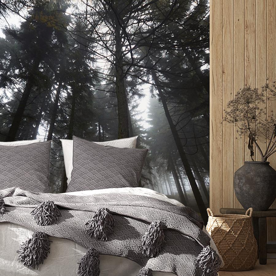 фотообои лес темный 9-1967