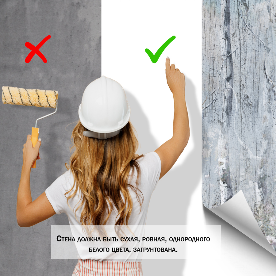 фотообои березы 13-074