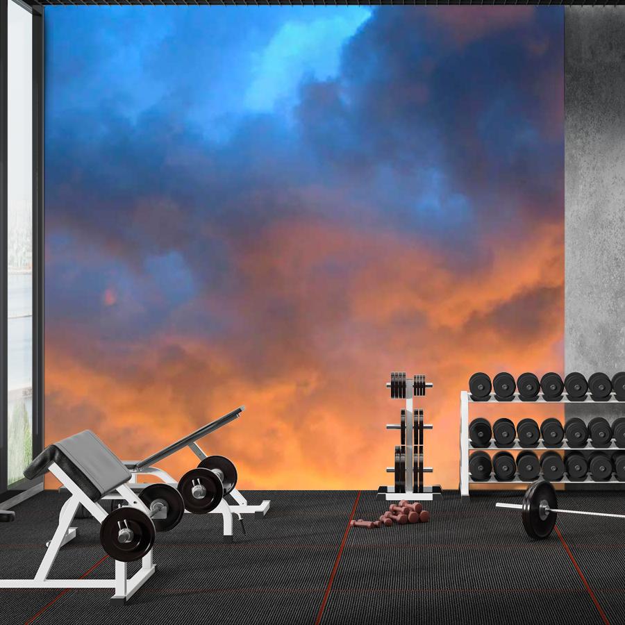 фотообои утренний багрянец 9-399