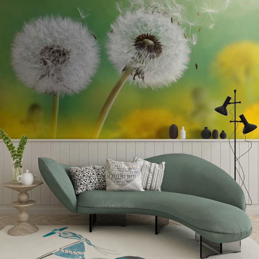 фотообои белые одуванчики 10-067