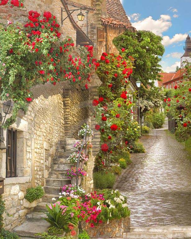 Фотообои Старинная улочка украшенная розами