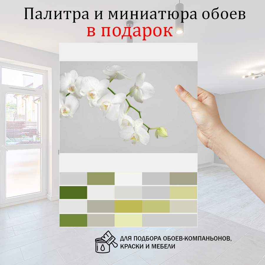 фотообои белая орхидея пышная 10-159