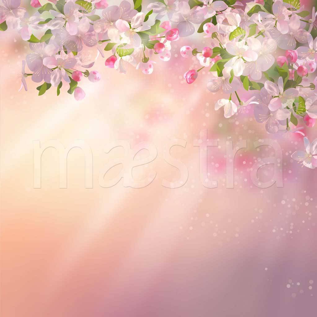 Фотообои Розовая цветущая сакура