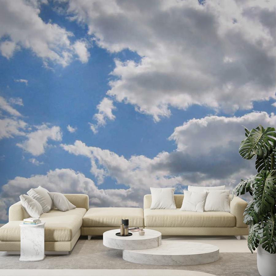 фотообои легкое небо 9-377