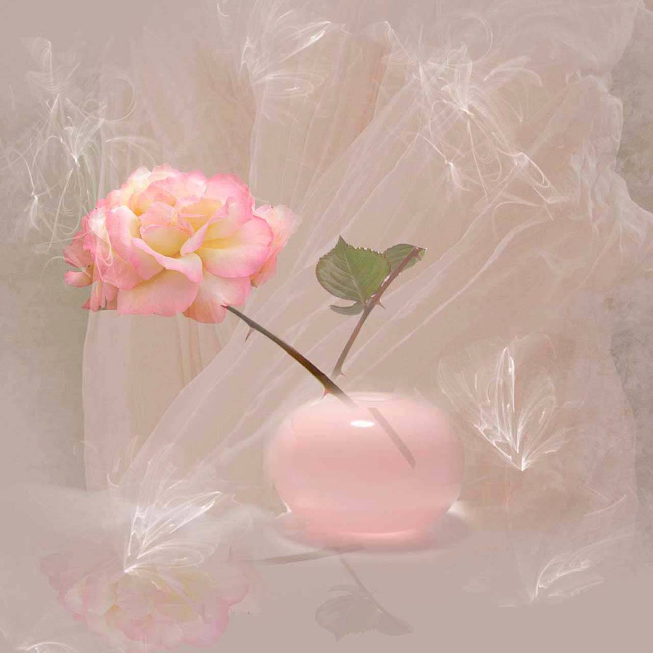 нежная роза в вазе 2-112