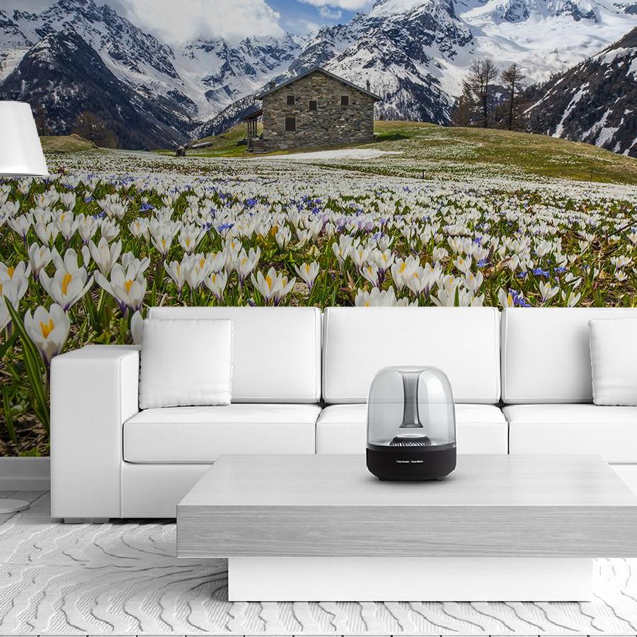 фотообои альпийский луг 9-1678