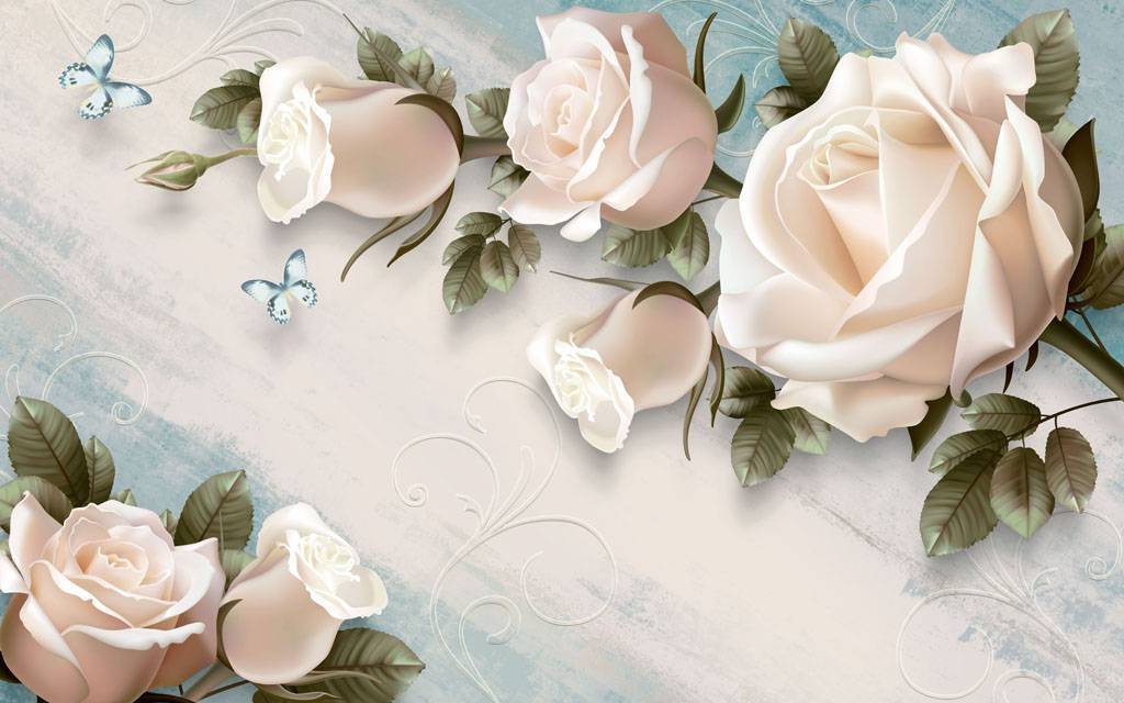 Фотообои Белые розы