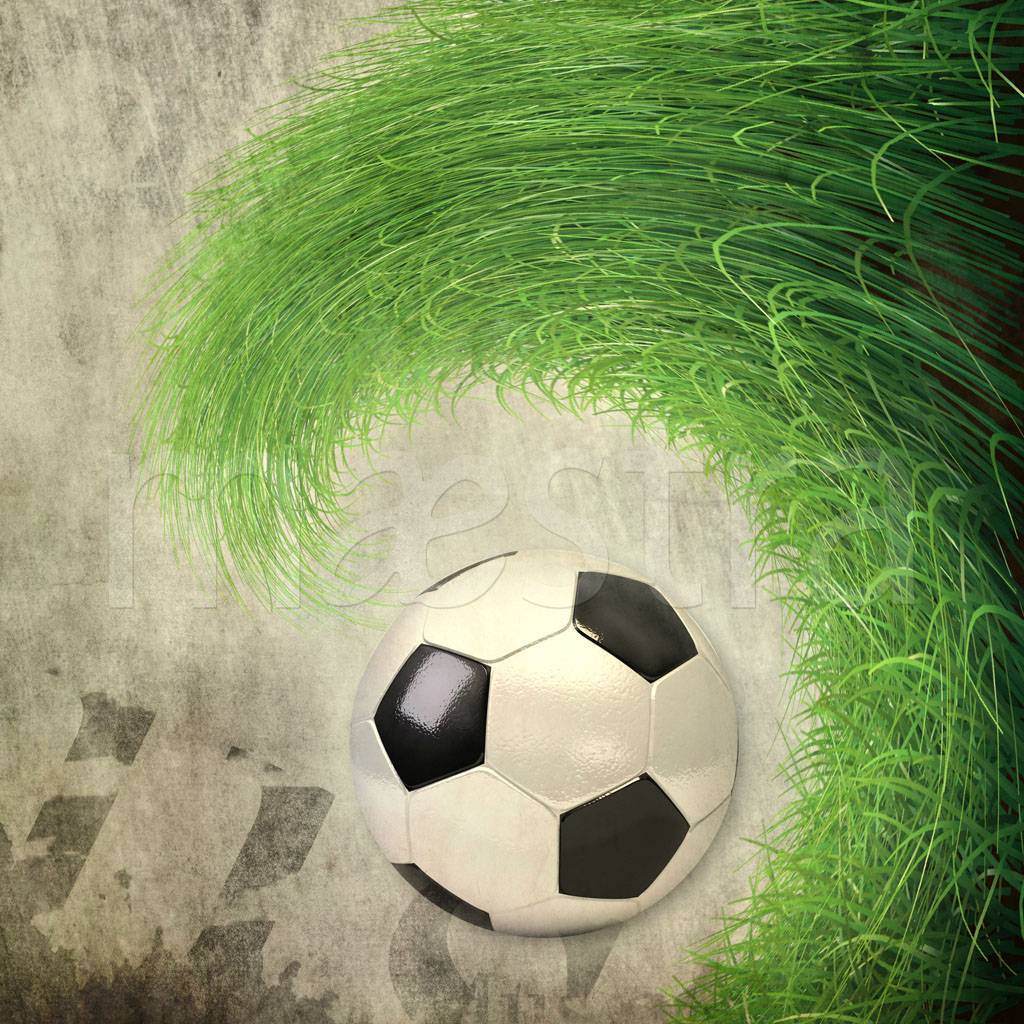 Фотообои Футбольный мяч в траве