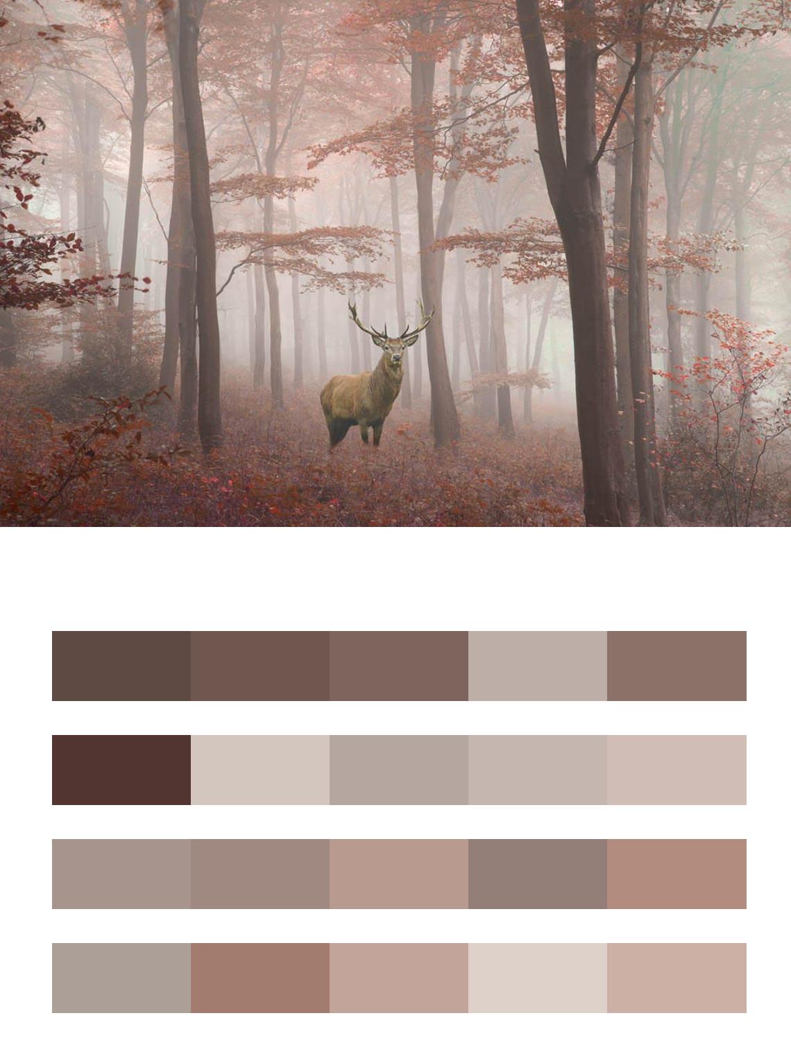 Осенний лес с оленем цвета
