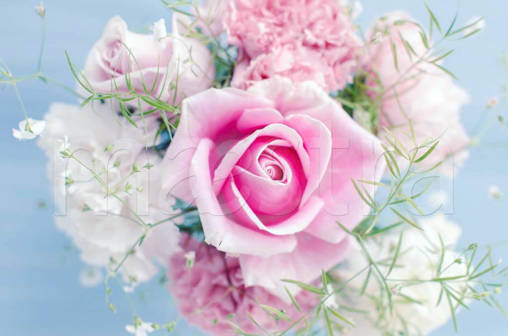 Фотообои Нежный букет роз на голубом фоне