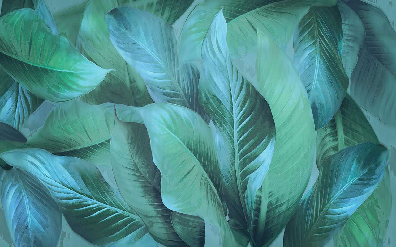 Фотообои Зеленые тропические листья