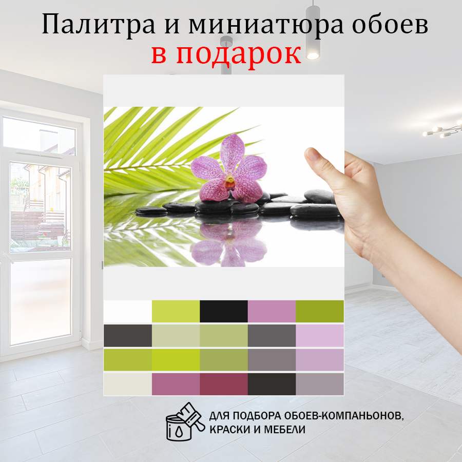 фотообои цветок орхидеи на черных камнях 10-205