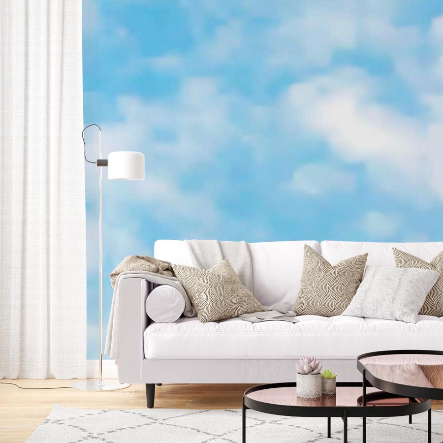 фотообои светлое утреннее небо 9-412