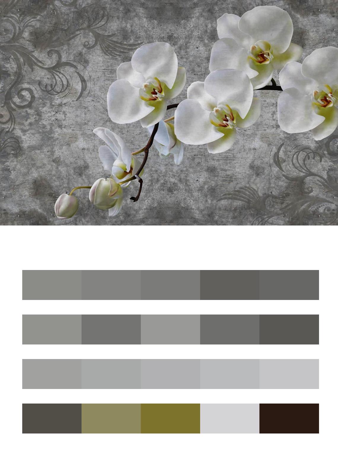 3д Ветка белой орхидеи цвета