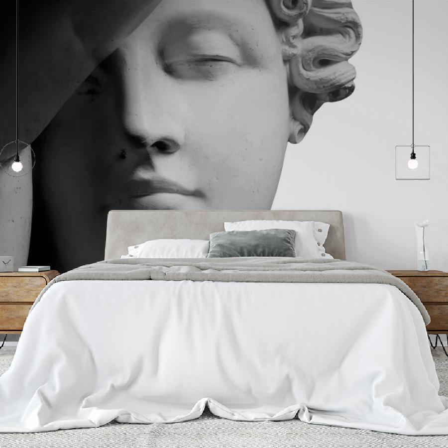 фотообои голова статуи на белом фоне 14-1039